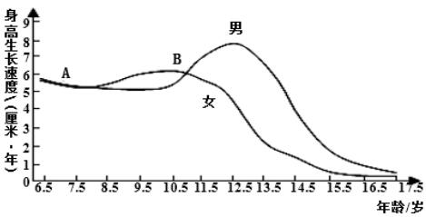 初中生物《人的生长发育和青春期》模拟题